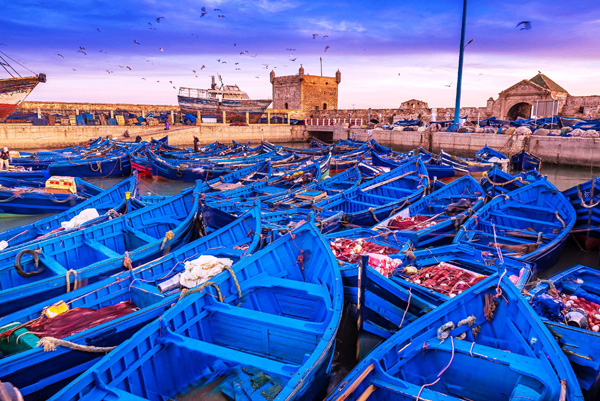 Essaouira day trip from Marrakech