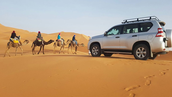 10 days new year imperial cities & desert tour from fez